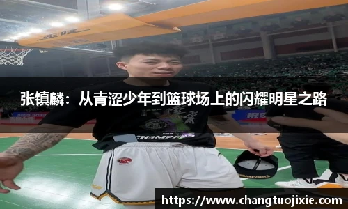 张镇麟：从青涩少年到篮球场上的闪耀明星之路